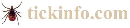 TickInfo